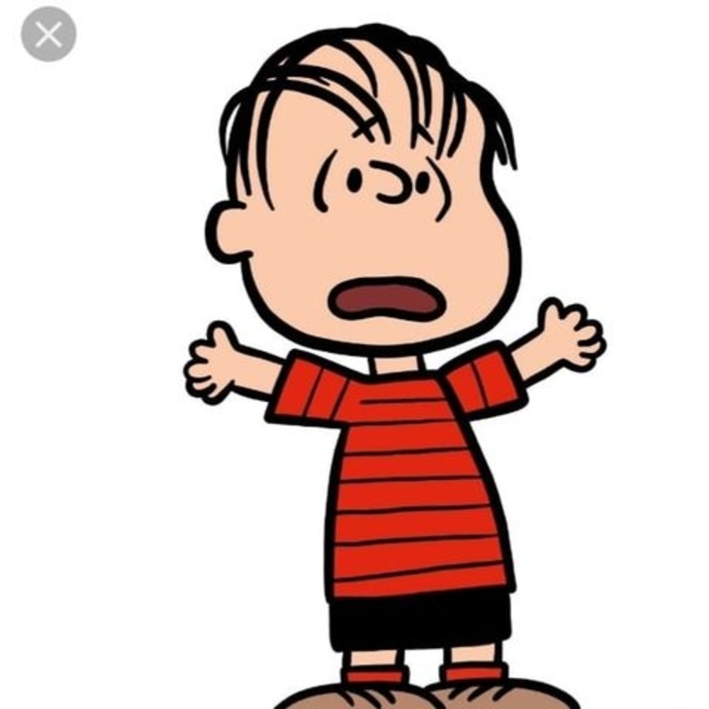 Meet your Posher, Linus